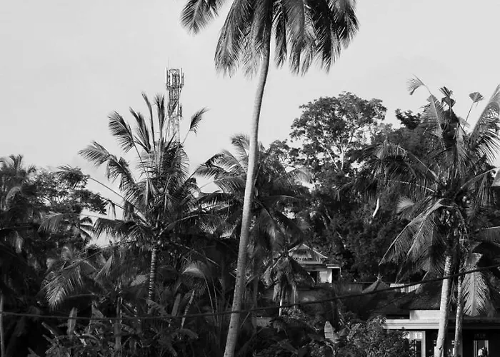 Mayani-one Of Ubud's Largets 2bdr فيلة أوبود